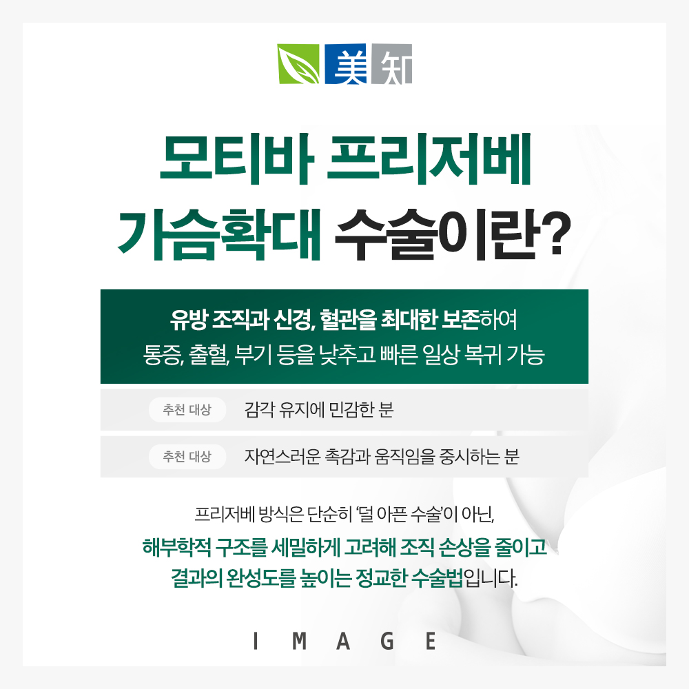 모티바 프리저베