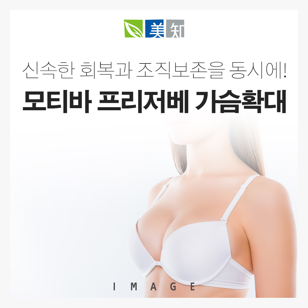모티바 프리저베