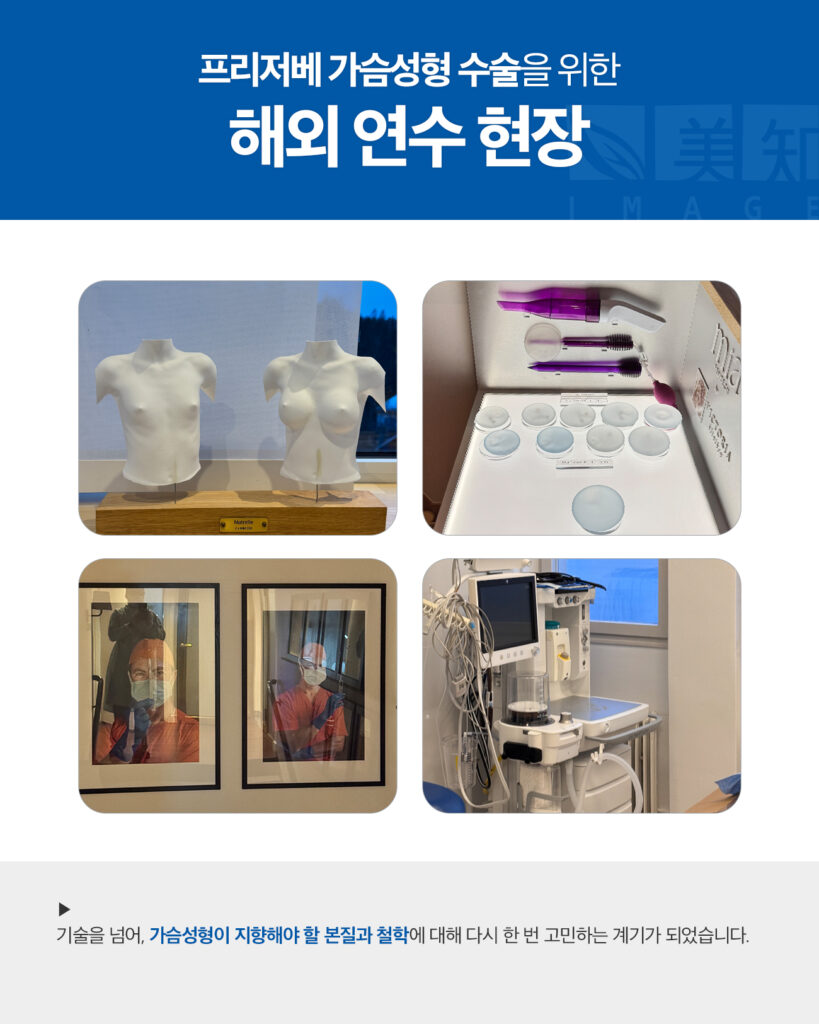 모티바 프리저베