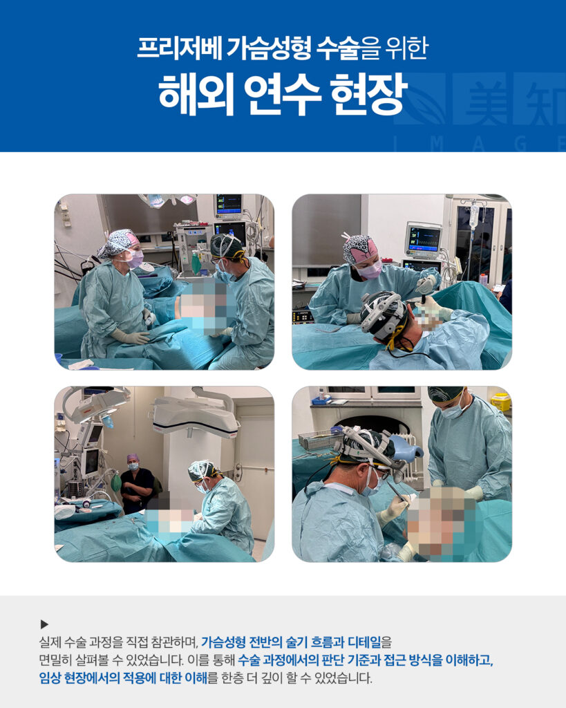 모티바 프리저베