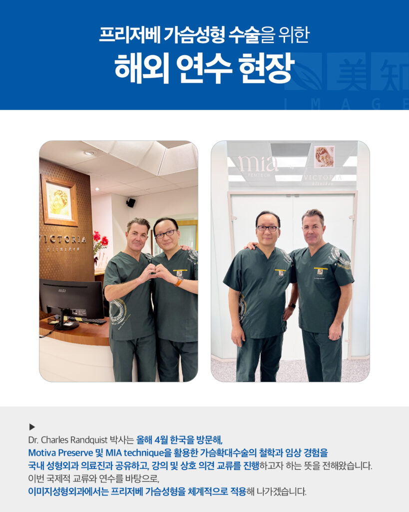 모티바 프리저베