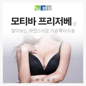 강남프리저베가슴수술