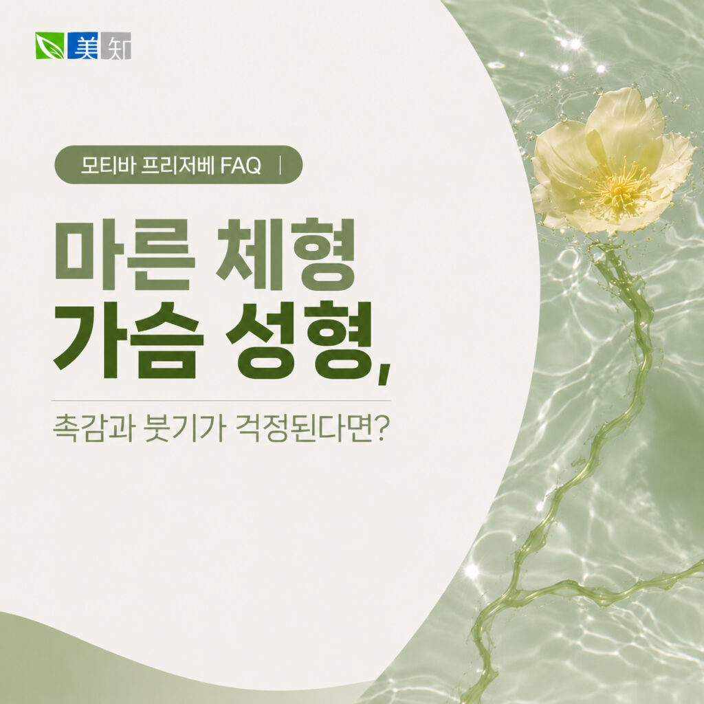 모티바 프리저베