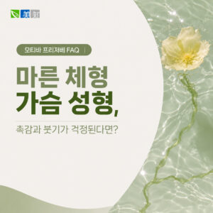 모티바 프리저베