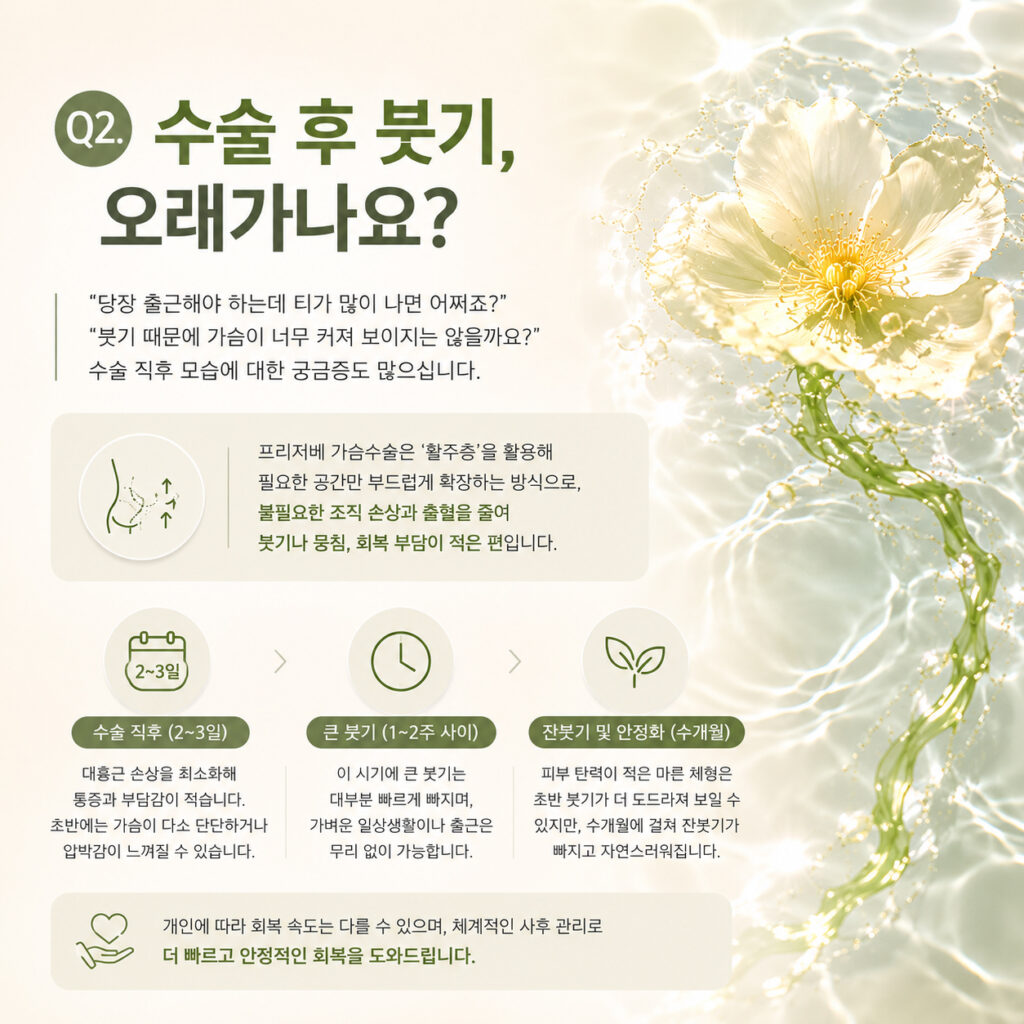 모티바 프리저베